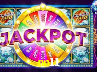 Interface Premium nn11